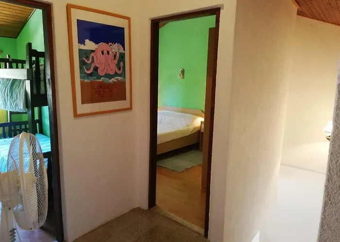 Edi Pogana Punta Kriza